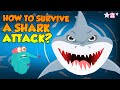 When You See A Shark | Shark Attack | The Dr Binocs Show | Peekaboo Kidz