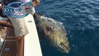 Amazing Florida Goliath Grouper Fishing Charter - Biggest Fish Ever For Birthday Boy - Deep Sea Fish