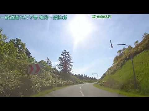 【車載動画／北海道 FullHD】一般道道1077号　稚内・猿払線〔下り〕(2024/06/09)