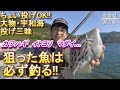 【大輔のとことん投げ釣り塾】狙った魚は必ず釣る！！カワハギ＆イトヨリ　激投・愛媛投げ釣り行脚