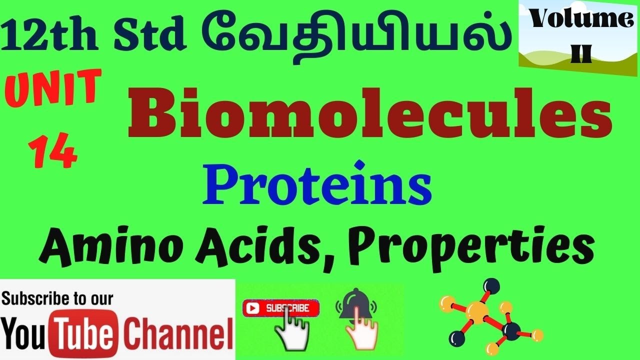 Class 12 Chemistry Biomolecules Proteins Amino Acids Tamil Unit 14 Chemistry Trending