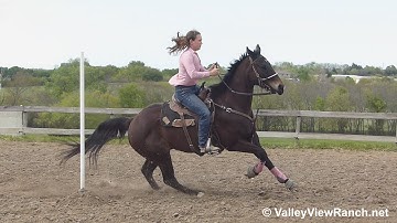 Eyes No Bully - running the poles! - ValleyViewRanch.net