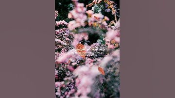 قران كريم ارح قلبك وسمعك #quran #قران #تيك_توك #اكسبلور #لايك #حالات_واتس #سعود_الشريم #راحة_نفسية