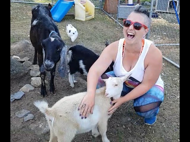 The Little Silly Goose Therapeutic Farm