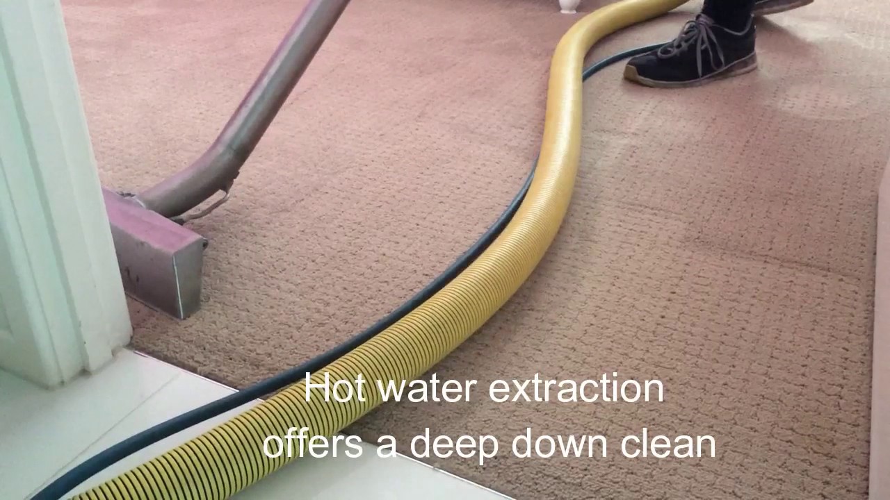 Results Home Services - Pest Management and Carpet Cleaning