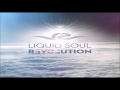 Liquid soul  revolution full album