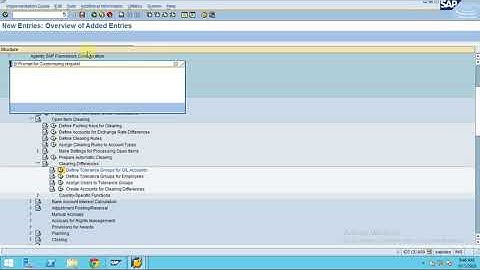 4. SAP FI - Tolerance Groups