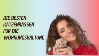 Wohnungskatzen - Die besten Katzenrassen für die Wohnungshaltung