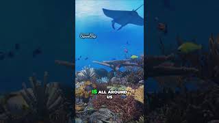 Discover the Vibrant World of Colors! Exploring Red, Blue, and Yellow!  #kidslearning  #colors