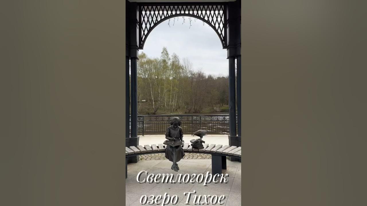 Светлогорск. Озеро Тихое #chill #music #lofi #cover #lyrics #song #travel #soul Светлогорск. Озеро Тихое #chill #music #lofi #cover #lyrics #song #travel #soul