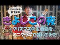 ソロギター「きよしこの夜」をミニクラシックギター(CS40J)で弾いてみました(^^♪