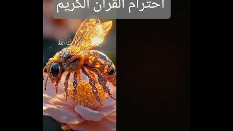 🥹🥹احترام القرآن الكريم #قصص_إسلامية #القرآن #اكسبلور