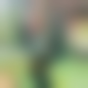 STORY WA COCOFUN TERBARU LUCU JOGETIN AJA DULU
