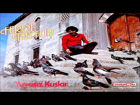 Ferdi Tayfur - Yuvasız Kuşlar  -Türküola plak