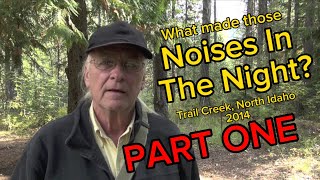 What Made Those Noises In The Night?