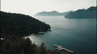 Musik Penyembuh Jantung dan Pembuluh Darah | Khasiat Musik Menenangkan dalam Memulihkan Sistem Saraf