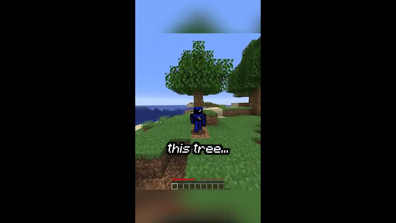 Minecraft But Everything You Look At Disappears 