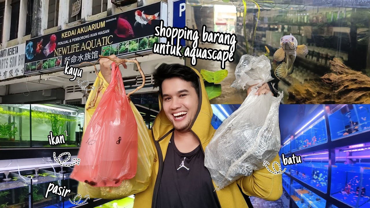 shopping di NEWLIFE AQUATIC Pasar Pudu | ✨ projek baru aquascape ✨