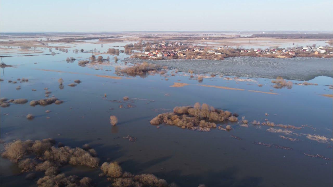 Какой уровень реки оки в рязани