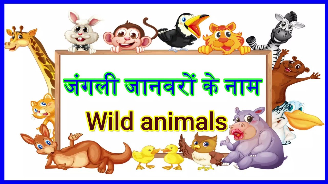 जंगली जानवरों के नाम - Name of wild animals with picture - YouTube
