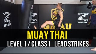 Muay Thai - Level 1 - Class 1 (Lead Strikes) screenshot 5