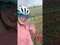 ロードバイクに乗って〜チューリップ編〜