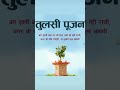 #tulsipuja #tulsivivah #srivishnu #tulsimata #gharkitulsi #trendingreels