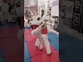 Be it pain or depression, the only cure for all this is = Taekwondo 🥋😈