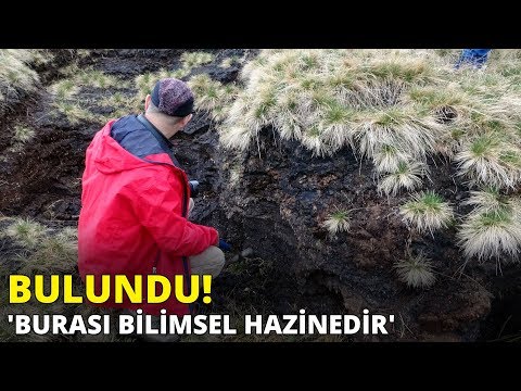 Video: Turba Bataklığında Bir Site Nasıl Geliştirilir