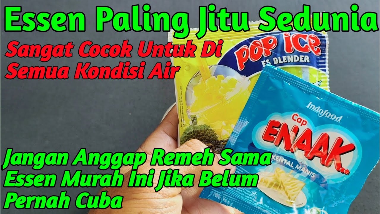 Cara Membuat Essen Dadakan Ikan Mas Paling Jitu/Cocok Untuk Semua Jenis