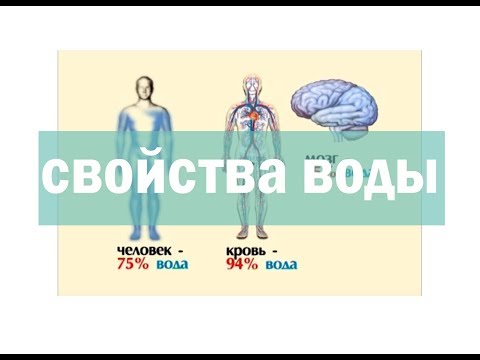Что вы знаете про свойства воды?