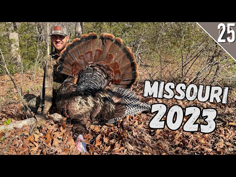 Wideo: Kiedy sezon na indyki w Missouri 2021?