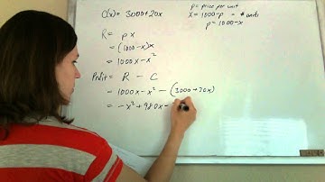 Optimization: Maximizing Profit