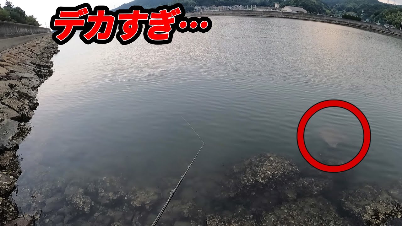 【PE2＆20ポンド】牡蠣だらけの足場でプロ釣り師の大物ファイト【ノーカット】