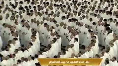 سورة البلد من صلاة المغرب للشيخ ماهر المعيقلي بالحرم المكي اليوم ١٩يناير ٢٠٢٣