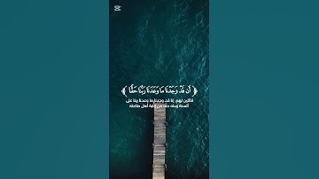 {وَنَادَى أَصْحَابُ الْجَنّةِ أَصْحَابَ النّارِ} ياسر الدوسري سورة الأعراف الآية {44} #قرآن
