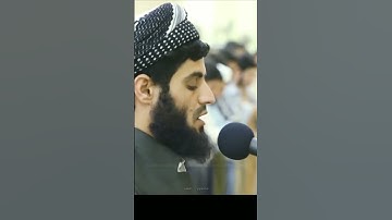 (هَلْ أَتَاكَ حَدِيثُ مُوسَى) القارئ رعد محمد الكردي حالات واتس اب❤🥺🍁