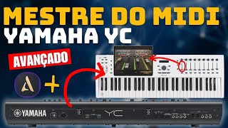 Parte 3 | MIDI Thru e MIDI Invert | YC+Arturia+Audio Evolution | MESTRE do MIDI do YC