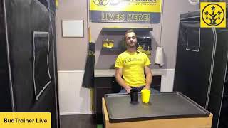 Friday Live with BudTrainer