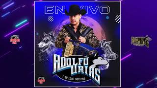 Video thumbnail of "Adolfo Urias Y Su Lobo Norteño - Mi Tesoro [En Vivo Desde Arena]"