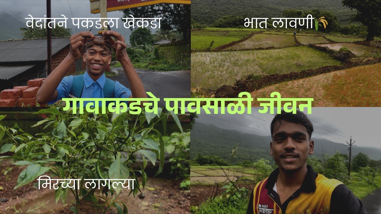 गावाकडचे पावसाळी जीवन | Rainy village Life | #vlog #kokan #ratnagiri #kundi