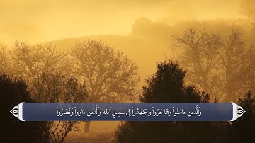 توصیه های پیامبر به امت و اصحاب سوره انفال آیه 74