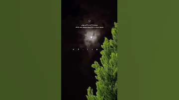 محمد سعيد قالوا عليكي 