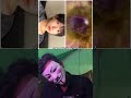 i met ✨ 🔥🍊⚡CHANG DORY in 🥮🍙🏂🍽️OmeTv Live😳#viral #shortsfeed #antor7t8 #ometv