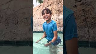 Swimming tutorial with the kitty pool and hot tub and sliding rocks ￼