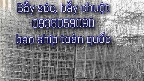 Bán bẫy sóc đất, bán bẫy chuột đồng 0936059090. Bao ship toàn quốc.