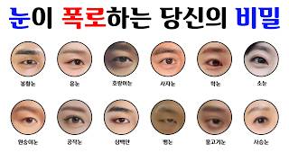 12가지 눈 관상 총정리｜눈이 드러내는 당신의 성향 12분 요약
