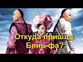 Почему китайские мужчины носили одну длинную косу?