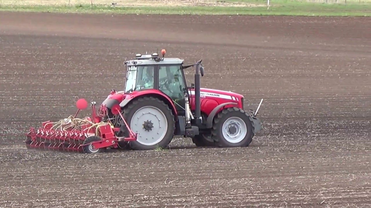 Carrot Seed Drilling YouTube