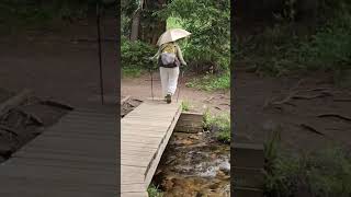 Wonderful to Have These Bridges on Trail